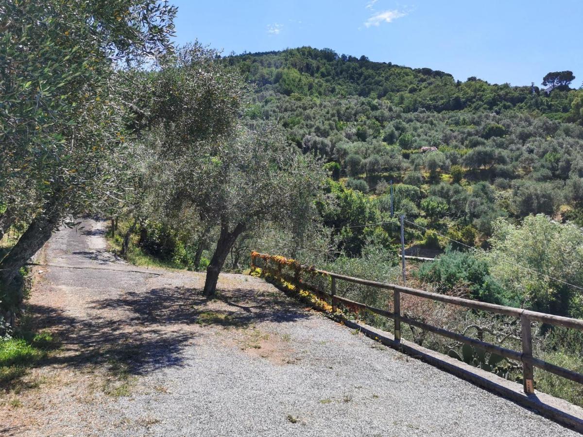 Il Frantoio Del Mesco - Levanto Exteriör bild
