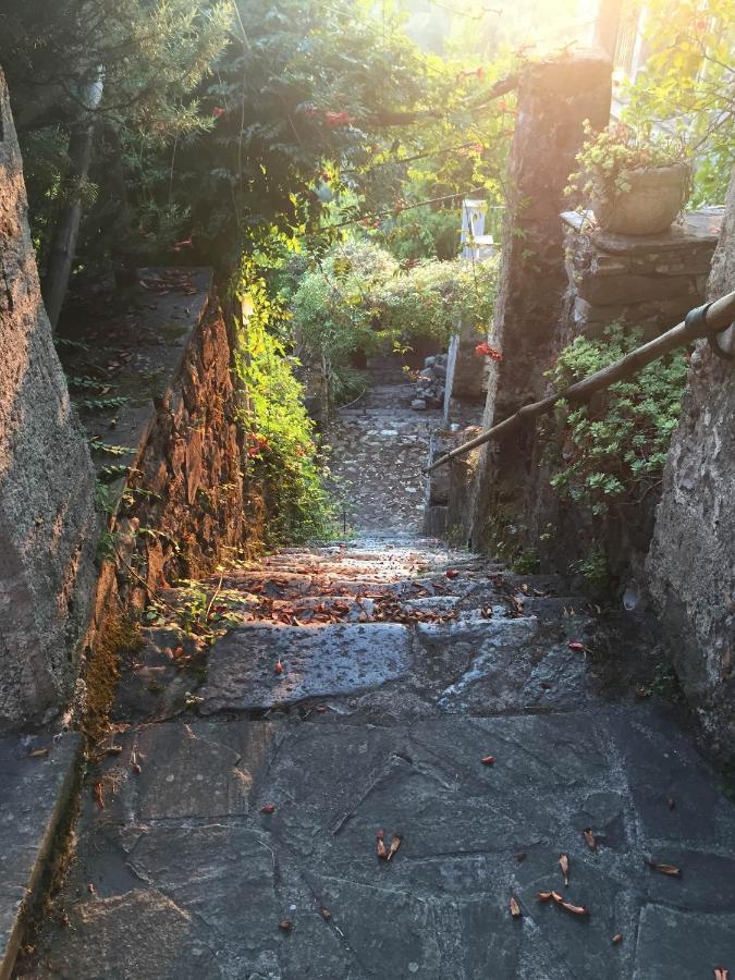 Il Frantoio Del Mesco - Levanto Exteriör bild